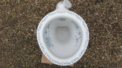 "JAEN" Blue & White Floral Patterned Victorian High Level Throne Toilet 1892