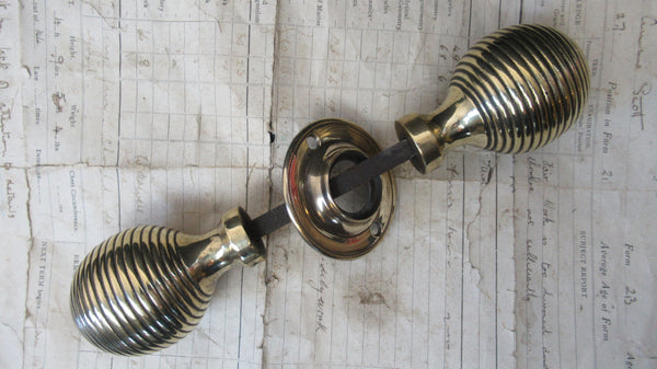 Beehive Large Doorknobs (Pair) - Brass