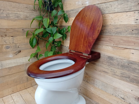 Antique High Level Mahogany Wooden Toilet Seat + Lid