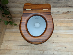 Antique Mahogany High Level Throne Toilet Seat (1)