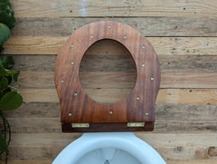 Antique Mahogany High Level Throne Toilet Seat (1)