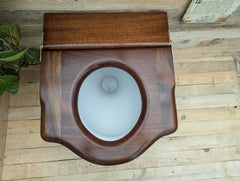 Antique Wooden High Level Throne Toilet Seat (6)