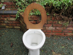Antique High Level Wooden Toilet Seat - light and golden