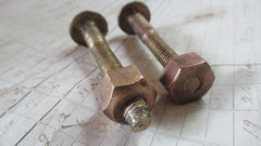 Pair Large Antique Brass Toilet Seat Fixing Nuts and Bolts