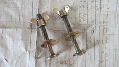 Pair Large Antique Brass Toilet Seat Fixing Nuts and Bolts - Wingnut