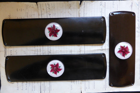 Three Art Deco Bakelite Door Finger Plates - Resin Flowers