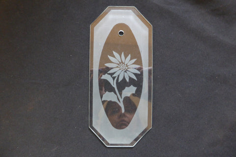 Vintage Flower Etched Glass Door Finger Plate (8 Available)