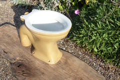 Antique 1800s High Level Earthenware Toilet - Plain