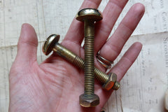 Pair Large Antique Brass Toilet Seat Fixing Nuts and Bolts - Slotted