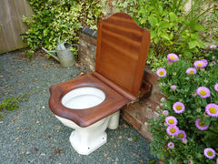 Antique Mahogany High Level Throne Toilet Seat with Lid